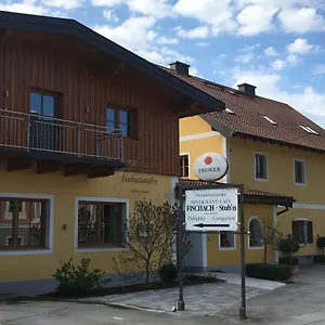 https://hotel-fischachstubn.saalbachhinterglemmhotels.com